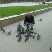 ���������� ������, ���� ������� ���������, 43 ����, ������������ ��� ������, ����� � ���������, c�������� ���������