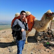 ���������� ���������, ���� ������� ������, 37 ���, ������������ ��� ������, ����� � ���������, c�������� ���������