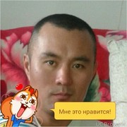  ,  , 41