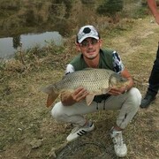 ���������� �����-���������, ���� ������� ������, 28 ���, ������������ ��� ����� � ���������, c�������� ���������, ���������