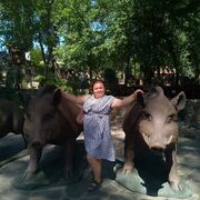  --,   , 34 ,     , c 