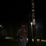 ���������� �������, ���� ������� ����, 22 ����, ������������ ��� ���������