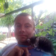  ,   , 44 ,   ,   