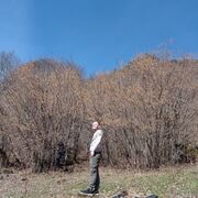 ���������� ��������, ���� ������� ���������, 37 ���, ������������ ��� ������, ����� � ���������, c�������� ���������, ���������