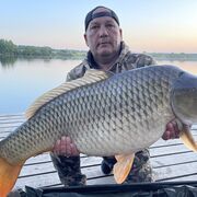 ���������� ������, ���� ������� �������, 58 ���, ������������ ��� ������, ����� � ���������, c�������� ���������