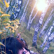 ���������� ���������, ���� ������� �������, 64 ����, ������������ 