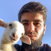  ,   Amir, 25 ,   ,   