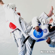  Mihai Bravu,  Aslan, 35