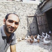  ,   Elvin, 36 ,   ,   , c 