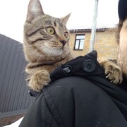 ���������� ������, ���� ������� �����, 38 ���, ������������ ��� ������, ����� � ���������, c�������� ���������