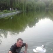  ,   CAHA, 41 ,   