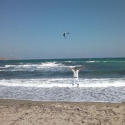 ���������� ������, ���� ������� ARSEN, 38 ���, ������������ ��� ������, ����� � ���������, ���������