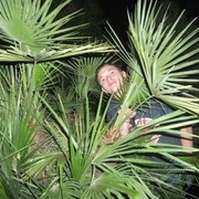 ���������� ����, ���� ������� �����, 35 ���, ������������ ��� ������, ����� � ���������, c�������� ���������