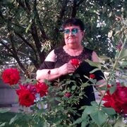 ���������� ��������, ���� ������� �������, 65 ���, ������������ ��� ������, ����� � ���������, c�������� ���������, ���������