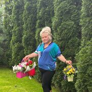  -,   , 54 ,   ,   , c , 