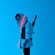 ���������� ��������, ���� ������� ������ �����, 29 ���, ������������ ��� ������, ����� � ���������