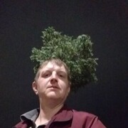  --,   Maxim, 42 ,   ,   , c , 