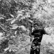 ���������� ��������, ���� ������� ����, 26 ���, ������������ ��� ������, ����� � ���������, ���������