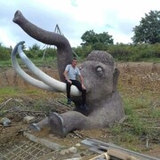 ���������� ������������, ���� ������� ����, 46 ���, ������������ ��� ������, ����� � ���������