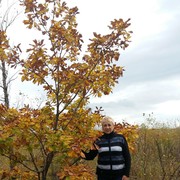  ,   , 61 ,   c 