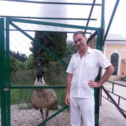 ���������� ������, ���� ������� ��������, 48 ���, ������������ ��� ������, ����� � ���������, c�������� ���������