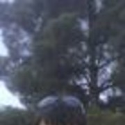 ���������� �������, ���� ������� Emil, 34 ����, ������������ ��� ������