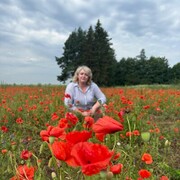 ���������� �����-���������, ���� ������� �����, 45 ���, ������������ ��� ����� � ���������