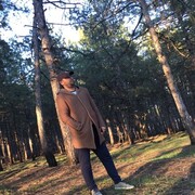  ,  Mfb, 35