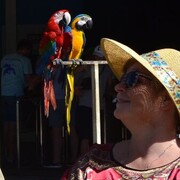  ,   , 61 ,   ,   , 