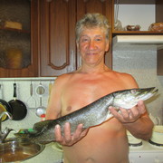  ,   , 73 ,   ,   , c 