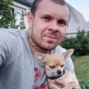 ���������� �����������, ���� ������� ����, 34 ����, ������������ ��� ������, ����� � ���������, c�������� ���������, ���������