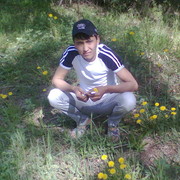  ,   , 35 ,   , 