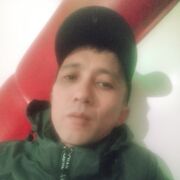 ���������� ���������, ������� ����, 41