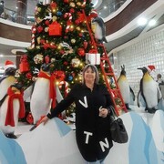  ,   , 66 ,     , c , 
