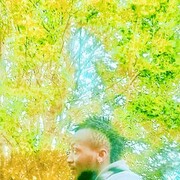 ���������� ������, ���� ������� Kaoussou, 31 ���, ������������ ��� ������, ����� � ���������