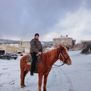 ���������� ������, ���� ������� ���, 38 ���, ������������ ��� ������, ����� � ���������