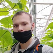 ���������� ���������, ���� ������� ������, 29 ���, ������������ ��� ������, ����� � ���������