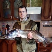 ���������� ������, ���� ������� �������, 33 ����, ������������ ��� ������, ����� � ���������, c�������� ���������