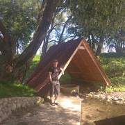 ���������� �����, ���� ������� �����, 36 ���, ������������ ��� ������, ����� � ���������, c�������� ���������