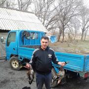  ,   , 44 ,     , c , 