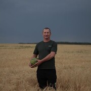 ���������� ������, ���� ������� ���������, 40 ���, ������������ ��� ������, ����� � ���������