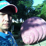   ,   , 42 ,  