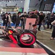 ���������� �����������, ���� ������� ������, 43 ����, ������������ ��� ������, ����� � ���������