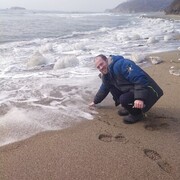 ���������� ���������, ���� ������� ������, 38 ���, ������������ ��� ������