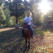 ���������� �������, ���� ������� �����2013, 46 ���, ������������ ��� ������