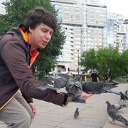 ���������� �����, ���� ������� ������, 34 ����, ������������ ��� ������, ����� � ���������