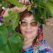 ���������� �����, ���� ������� �������, 54 ����, ������������ ��� c�������� ���������