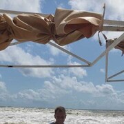 ���������� ���������, ���� ������� �������, 46 ���, ������������ ��� ������, ����� � ���������, c�������� ���������