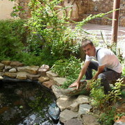 ���������� ���������, ���� ������� ����, 36 ���, ������������ ��� ������, ����� � ���������, c�������� ���������