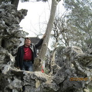 ���������� ������, ���� ������� �����, 56 ���, ������������ ��� ������, ����� � ���������, c�������� ���������